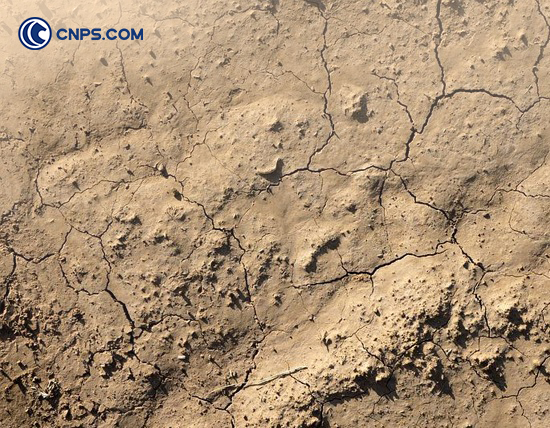 Cracked earth texture symbolizing the challenging conditions faced in maintaining well integrity.